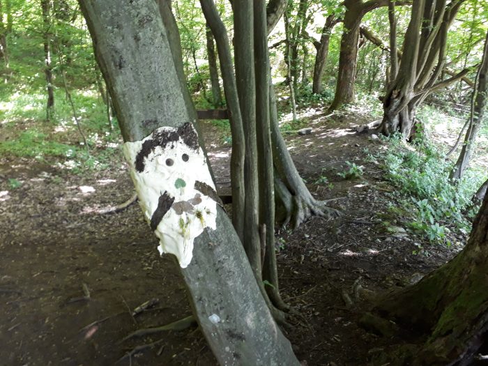 Waldkindergarten Slowenien